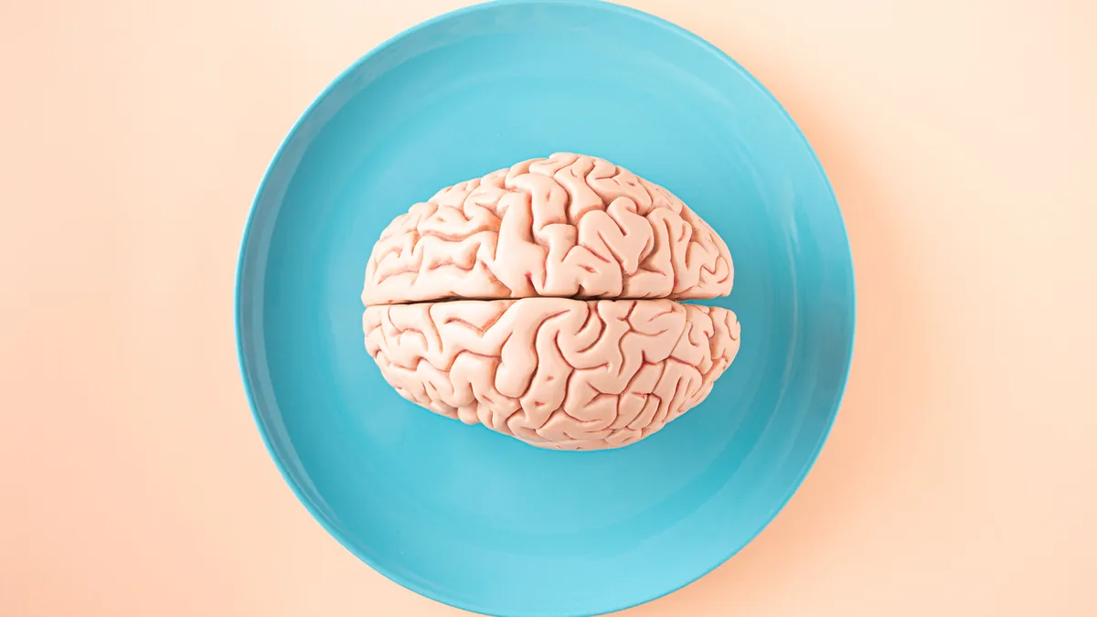Model of a human brain resting on a blue plate
