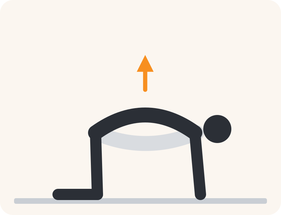 Line drawing of the cat and cow exercise. The faded figure is the starting position, the dark figure is the finish, and the orange arrow shows the movement.